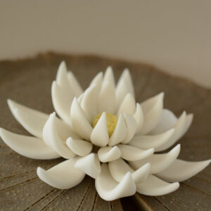 Κεραμικό Νούφαρο S